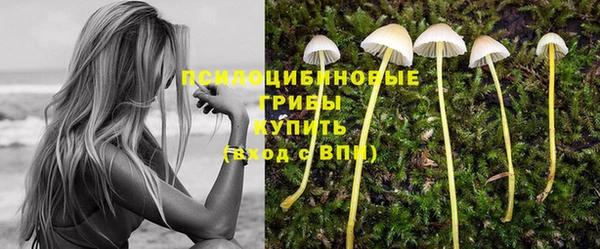 mix Медногорск