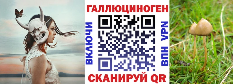 Купить  Коломна  Псилоцибиновые грибы Magic Shrooms 
